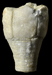 Crinoid Cup